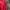 Jacket Lightweight Unkown Brand Red photo 4