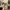 Nike Air Jordan 13 Atmosphere Grey photo 2