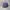 Topi Polo Ralph Lauren Purple Unstruktur Unstruktur OSFA Sec photo 1