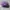 Topi Polo Ralph Lauren Purple Unstruktur Unstruktur OSFA Sec photo 4