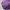 Topi Polo Ralph Lauren Purple Unstruktur Unstruktur OSFA Sec photo 5