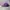 Topi Polo Ralph Lauren Purple Unstruktur Unstruktur OSFA Sec photo 3