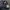Dickies Casual Pria navy photo 4