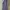 Dickies Casual Pria navy photo 1