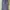 Dickies Casual Pria navy photo 3