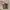 Clarks Streetwear Casual Boots Pria tan brown photo 2
