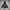 HOODIE MARKGONZALES photo 8