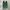 Converse Golf le Fleur Gianno Evergreen photo 4