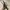 Catokan Lurus + Curly photo 1