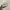 Nike Sb force 58 photo 4