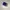 Nike Sb force 58 photo 2