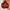 Gropcore Jacket Outdor By TressPass /TNF/Montbell/ photo 1