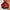 Gropcore Jacket Outdor By TressPass /TNF/Montbell/
