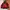 Gropcore Jacket Outdor By TressPass /TNF/Montbell/