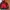Gropcore Jacket Outdor By TressPass /TNF/Montbell/ photo 4
