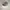 Adidas joger photo 1