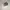 Adidas joger photo 3