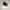 Nike air jordan jupman photo 2