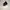 Nike air jordan jupman photo 3