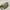 Nike air jordan hyper royal photo 4