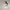 Nike air jordan 1 zoom photo 1