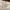 Minimalist Other Wanita white pink photo 1