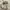 Minimalist Other Wanita white photo 2