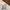 Minimalist Other Wanita white photo 3