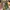 Guitar Sheeran By Lowden Equals Edition photo 3