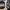 Guitar Sheeran By Lowden Equals Edition photo 2