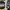 Guitar Sheeran By Lowden Equals Edition