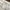 Minimalist Other Wanita white photo 2