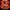 11/10 Studio Grunge Cosplay DVD black red photo 1