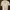 Man Shirt Floral photo 1
