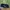 LOAFERS by CARAKA photo 1