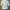 Streetwear Sportswear Windbreaker Wanita white photo 7