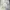 Streetwear Sportswear Track jacket Wanita white photo 5