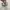 Maison Margiela Tabi Ballerina Flats SSENSE Exclusive Grey photo 6