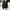 Crocodile Black Harigton Work Jacket photo 8