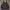 XLARGE Spellout Zip Hoodie photo 1
