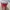 Thumbler Starbucks Original (Christmast Bear edition) photo 2