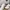 Puma Casual Sneakers Pria white photo 2