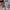 Thumbler Starbucks Original (Japan Geography Series_Kobe) photo 3