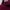 CELANA STONE ISLAND MAROON sz 32-33 photo 3