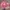 Rok pink photo 1