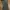 Olivia Lauren Flare Jeans Boot Cut Bottom Bell photo 3