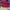 AIR JORDAN 1 RETRO HIGH FLYKNIT BANNED photo 5