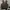 CARHARTT 14806 DARK BROWN SHERPA LINED DUCK CANVAS VEST MENS photo 2