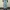 BAGGY JEANS LIGHTBLUE  photo 3