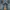 Tavernity So Jeans Boot Cut Bottom Bell photo 7